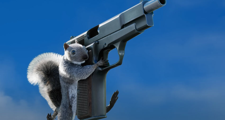 Squirrel With A Gun