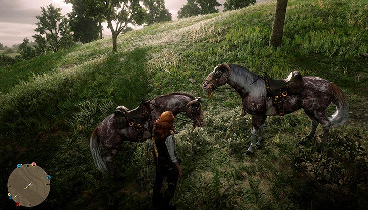 В Red Dead Online нашествие лошадей-клонов